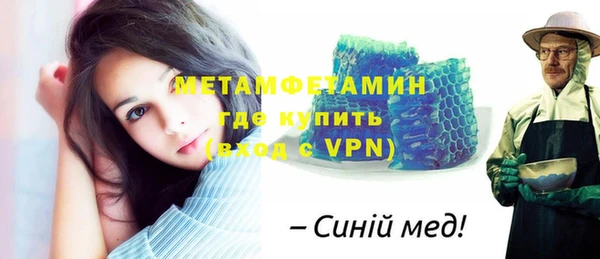 индика Алексин