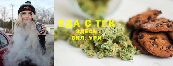 индика Алексин
