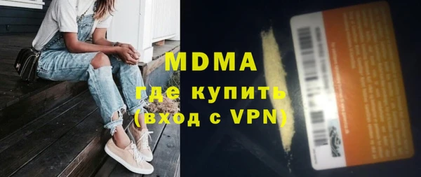 индика Алексин