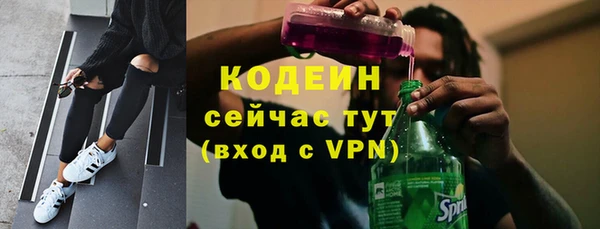 гашик Няндома