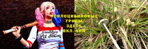 кристаллы Алексеевка