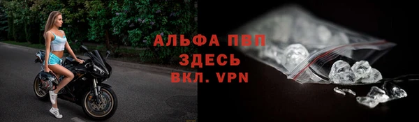 индика Алексин
