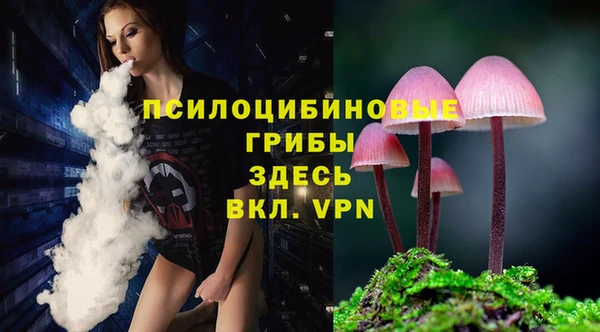 индика Алексин