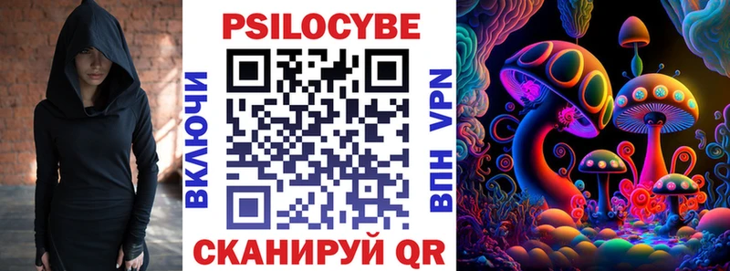 Галлюциногенные грибы Psilocybe  купить наркоту  Куртамыш 